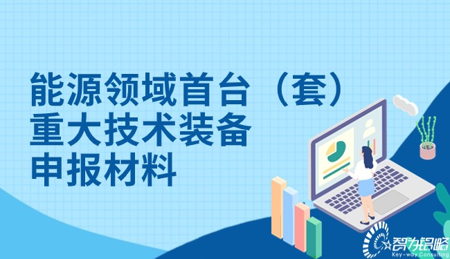 能源领域首台（套）重大技术设备申报资料.jpg