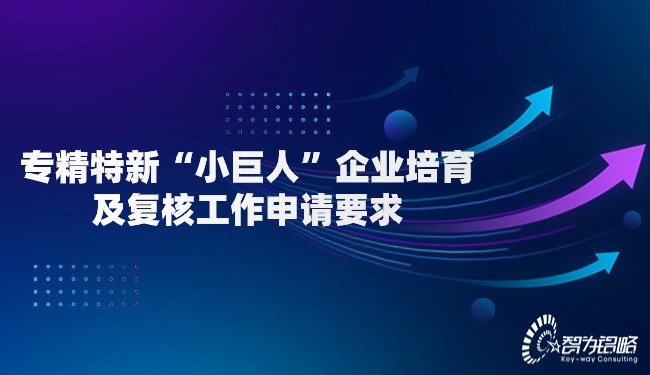 专精特新“小巨人”企业造就及复核工作申请要求.jpg