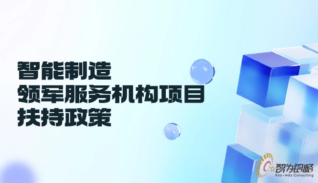 智能制作领军服务机构项目搀扶政策.jpg