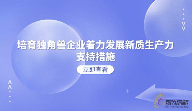 造就独角兽企业着力发展新质出产力的支持措施.jpg