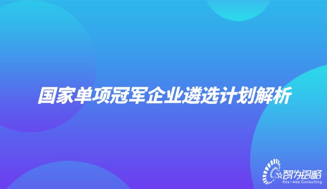 国度单项**企业遴选打算解析.jpg