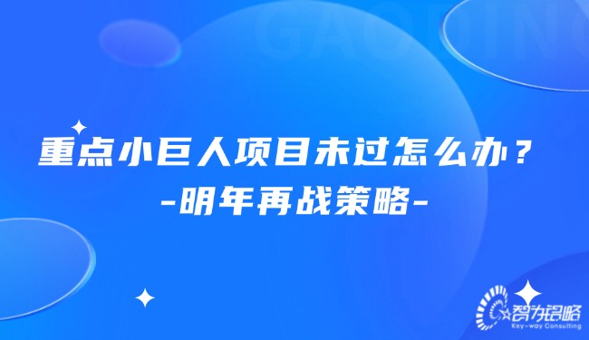 重点小巨人项目未过怎么办？明年再战战术.jpg