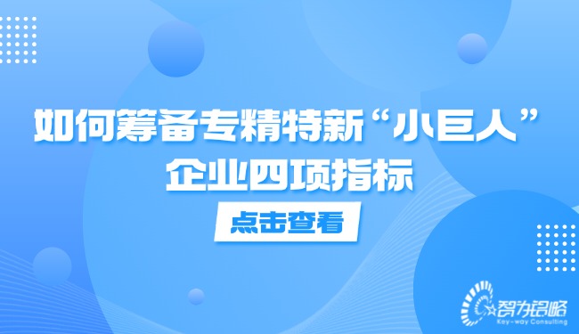 若何筹备专精特新“小巨人”企业四项指标.jpg