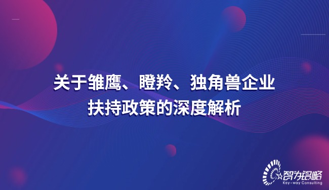 关于雏鹰、瞪羚、独角兽企业搀扶政策的深度解析.jpg