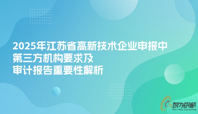 2025年江苏省高新技术企业申报中第三方机构要求及审计汇报重要性解析.jpg