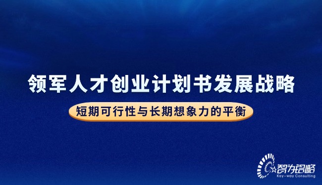 领武士才创业打算书发展战术—短期可行性与持久设想力的平衡.jpg